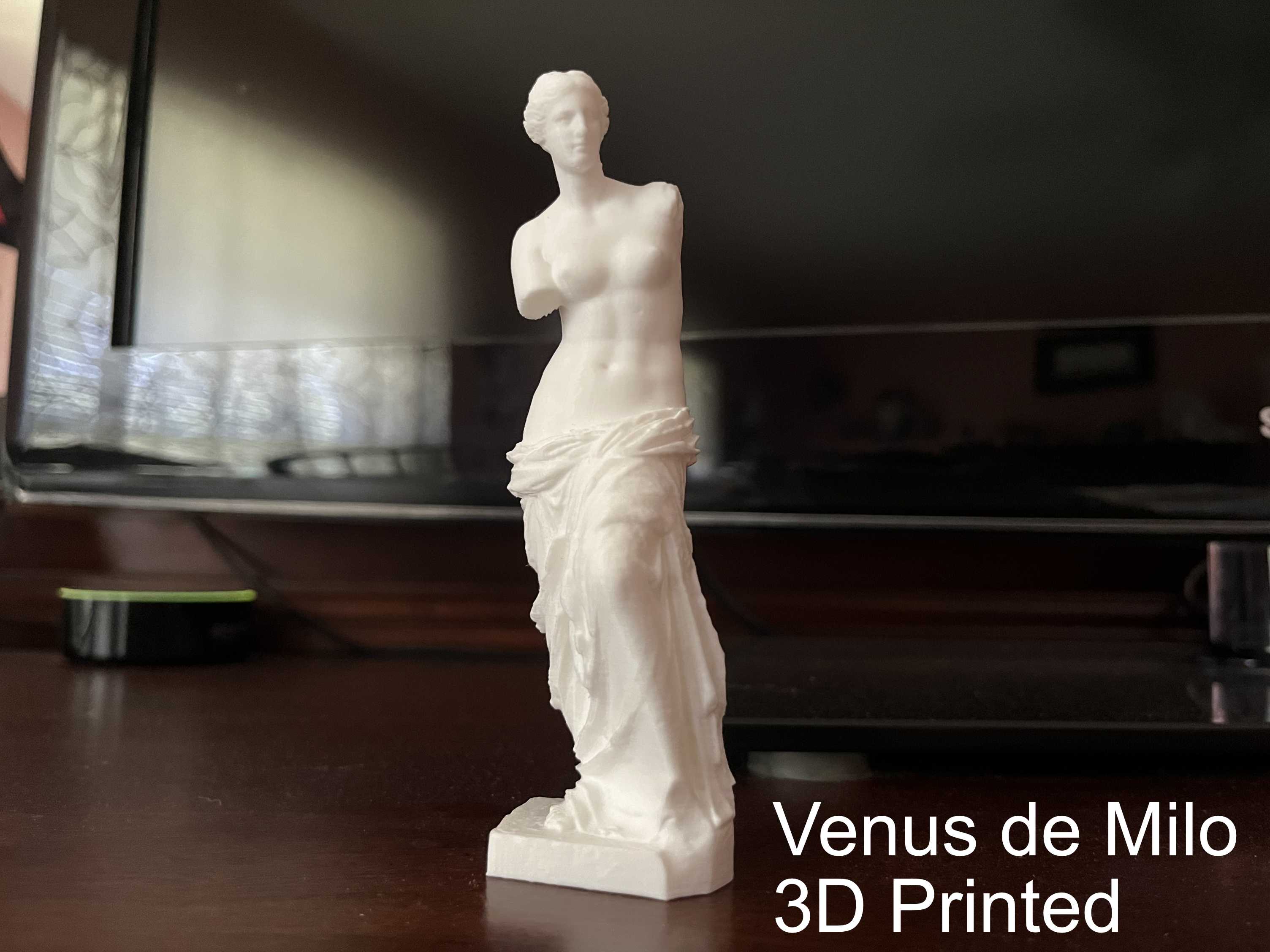 3D print of the Venus de Milo Statue