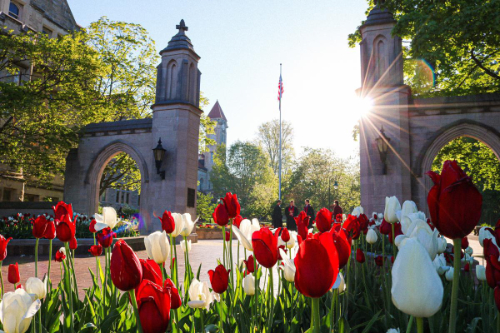 Indiana University Sample Gates